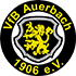 VfB Auerbach Statystyki