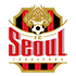 FC Seoul Statystyki