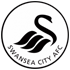 Swansea City Statystyki