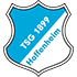 Hoffenheim Statystyki