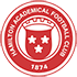 Hamilton Academical Statystyki