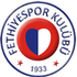 Fethiyespor Statystyki