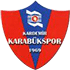 Karabukspor Statystyki