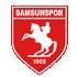 Samsunspor Statystyki