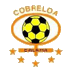 Cobreloa Statystyki