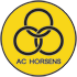 AC Horsens Statystyki